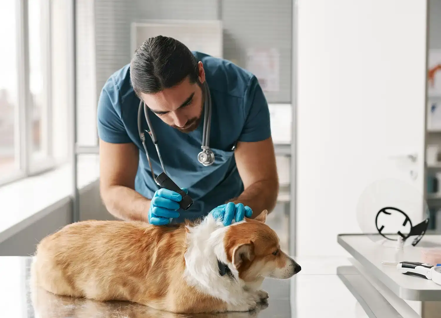 Pets and Pet Care